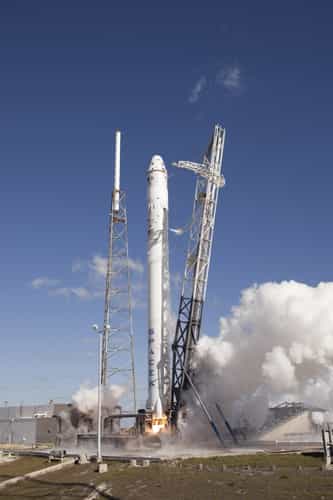 Falcon is recovered